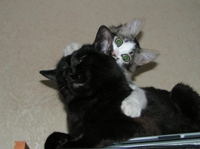 P6130005.JPG (110.3 КБ) 4790 просмотров P6130005.JPG