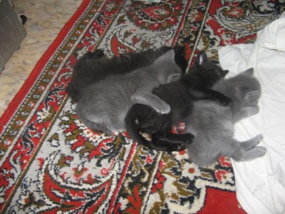 IMG_1203.jpg (181.08 КБ) 4784 просмотра IMG_1203.jpg