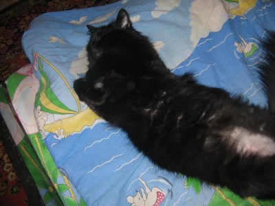 IMG_1358.jpg (138.57 КБ) 4782 просмотра IMG_1358.jpg