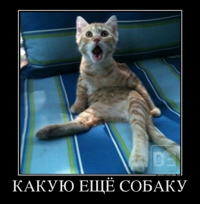 8784258_kakuyu-eschyo-sobaku.jpg (84.88 КБ) 8387 просмотров 8784258_kakuyu-eschyo-sobaku.jpg