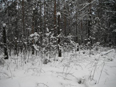 DSCF0274.JPG