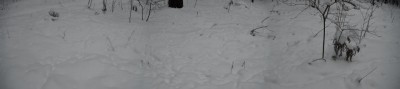 DSCF0276.JPG