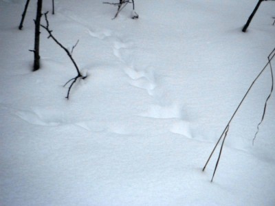 DSCF0286.JPG