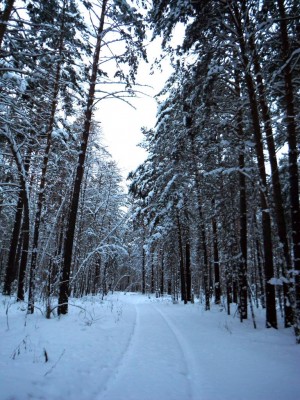 DSCF0284.JPG