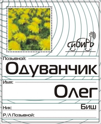 Beydzik-oduvanchik.jpg