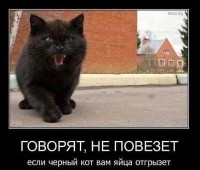 getImageCAH44XWJ.jpg (39.8 КБ) 6867 просмотров getImageCAH44XWJ.jpg