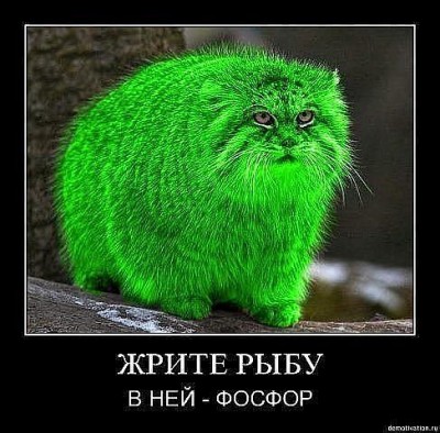 getImageCAKOVZQJ.jpg (50.7 КБ) 6828 просмотров getImageCAKOVZQJ.jpg