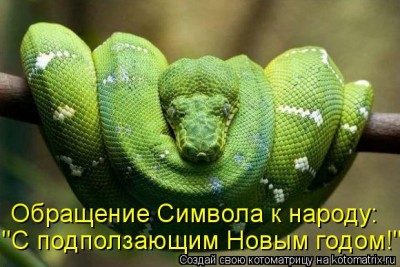 kotomatritsa_GQ.jpg (55.75 КБ) 6679 просмотров kotomatritsa_GQ.jpg