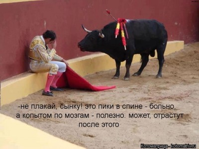 kotomatritsa_Uv.jpg (52.79 КБ) 6650 просмотров kotomatritsa_Uv.jpg