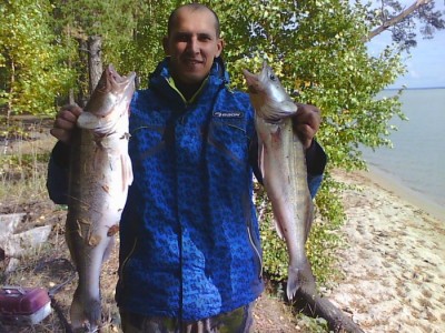 48317.jpg (104.53 КБ) 13122 просмотра 48317.jpg