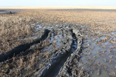 IMG_1577.JPG
