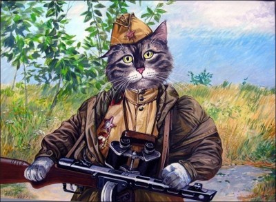 cats-at-war-007.jpg