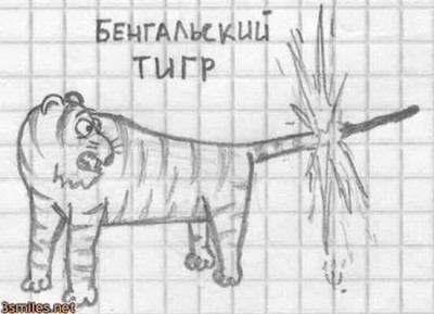 тигр.jpg (29.88 КБ) 4457 просмотров тигр.jpg