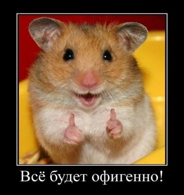 хомяк.jpg (46.97 КБ) 4312 просмотров хомяк.jpg