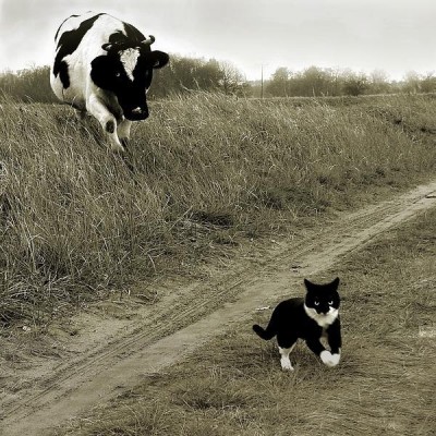 1.jpg (131.2 КБ) 4169 просмотров 1.jpg