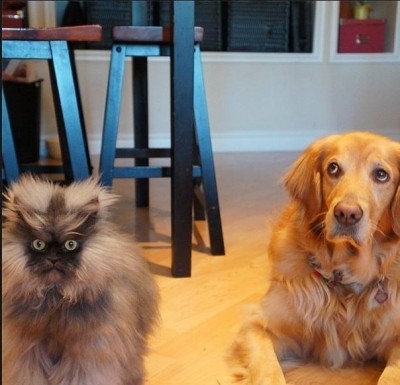 000.jpg (64.32 КБ) 3874 просмотра 000.jpg