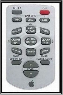 пульт от жены.jpg