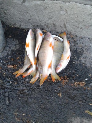 2013-06-22 22.15.16.jpg (129.21 КБ) 13035 просмотров 2013-06-22 22.15.16.jpg