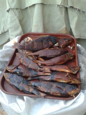 2013-06-22 22.21.51.jpg (93.41 КБ) 13035 просмотров 2013-06-22 22.21.51.jpg