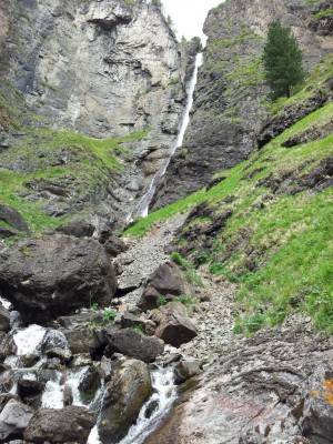 20120611_122437.jpg