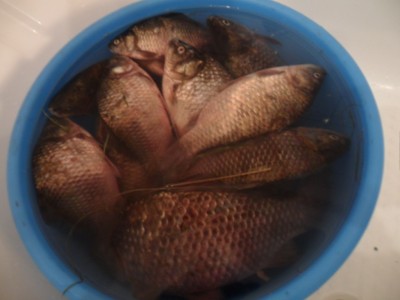 eY107gw74xA.jpg (88.71 КБ) 11027 просмотров eY107gw74xA.jpg