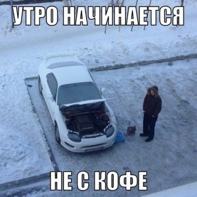 утро.jpg