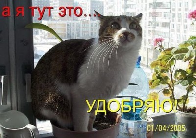 getImage-4.jpeg (47.42 КБ) 4279 просмотров getImage-4.jpeg