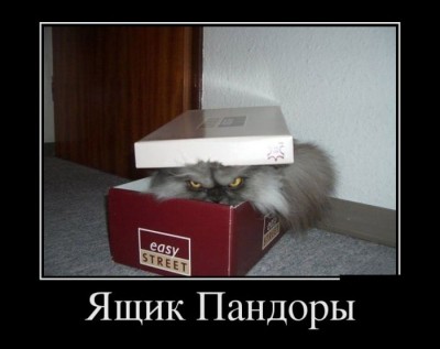 кот.jpg