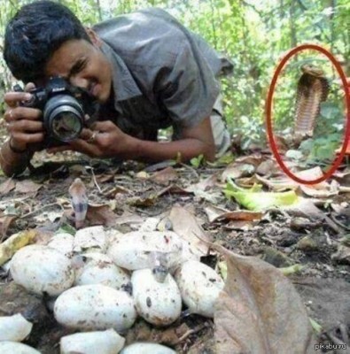 1.jpg (90.92 КБ) 5464 просмотра 1.jpg