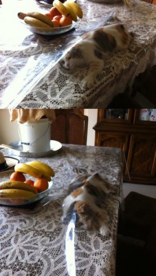 1.jpg (78.62 КБ) 5428 просмотров 1.jpg