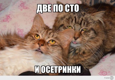 1.jpg (315.12 КБ) 5217 просмотров 1.jpg