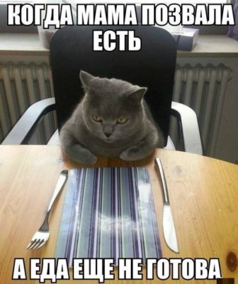 1.jpg (64.63 КБ) 5919 просмотров 1.jpg