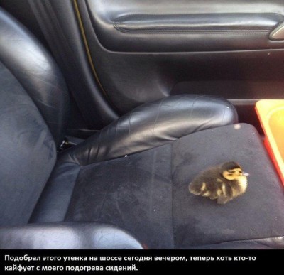 1.jpg (51.86 КБ) 5523 просмотра 1.jpg