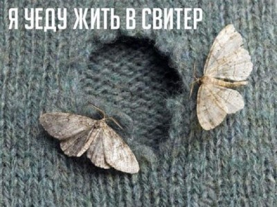 11.jpg (65.94 КБ) 5529 просмотров 11.jpg