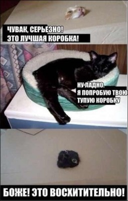 111.jpg (45.89 КБ) 5592 просмотра 111.jpg