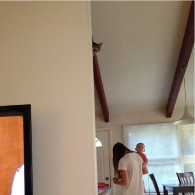 111.jpg (33.12 КБ) 5477 просмотров 111.jpg