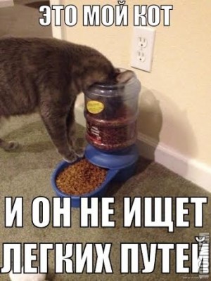 1.jpg (41.92 КБ) 5514 просмотров 1.jpg