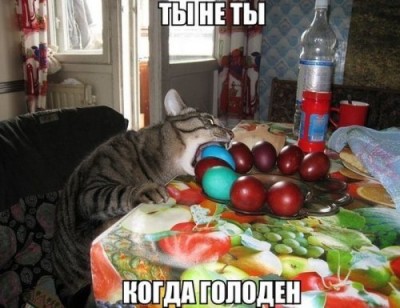 11.jpg (51.6 КБ) 5220 просмотров 11.jpg