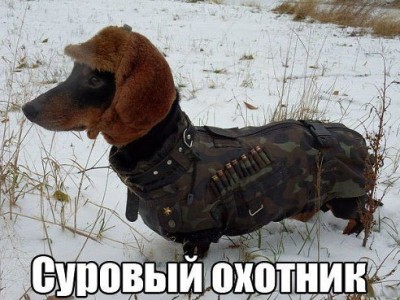 get8.jpg (57.58 КБ) 5198 просмотров get8.jpg