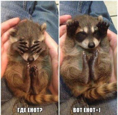 1.jpg (79.39 КБ) 5101 просмотр 1.jpg