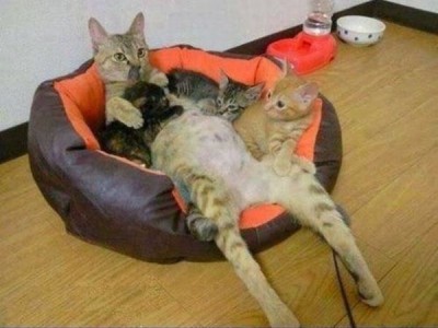 111.jpg (48.47 КБ) 5116 просмотров 111.jpg