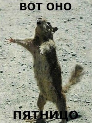 img_8766423_58_0.jpg (53.08 КБ) 6363 просмотра img_8766423_58_0.jpg