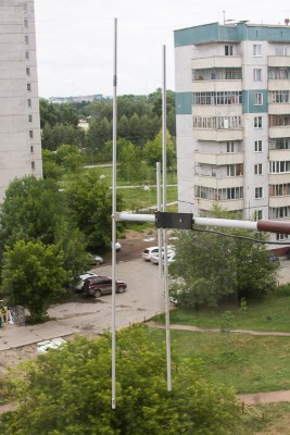 IMG_7315.jpg
