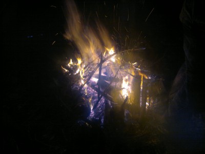 29102011046.jpg