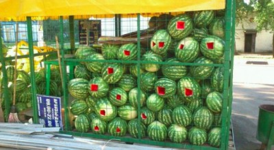 11.jpg (80.57 КБ) 6071 просмотр 11.jpg