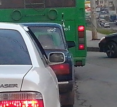 дельфин.jpg (242.61 КБ) 8514 просмотров дельфин.jpg