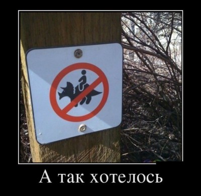 22.jpg (65.6 КБ) 5062 просмотра 22.jpg