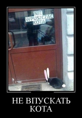 222.jpg (62.11 КБ) 5041 просмотр 222.jpg