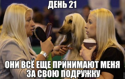 11.jpg (58.99 КБ) 5423 просмотра 11.jpg