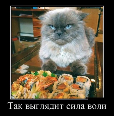 3881680_da48e12c.jpg (62.31 КБ) 4951 просмотр 3881680_da48e12c.jpg